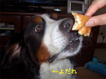 c0143711_22124621.gif