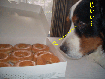 c0143711_22151041.gif
