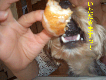 c0143711_22263735.gif