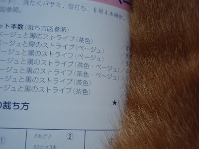 c0145016_9173732.jpg