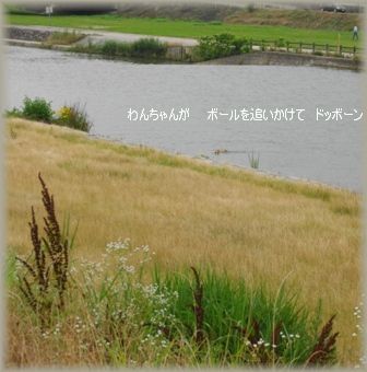 e0119017_2333330.jpg