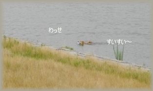e0119017_2334443.jpg