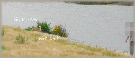 e0119017_2335336.jpg