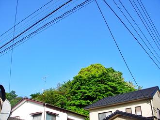 d0144618_16504017.jpg