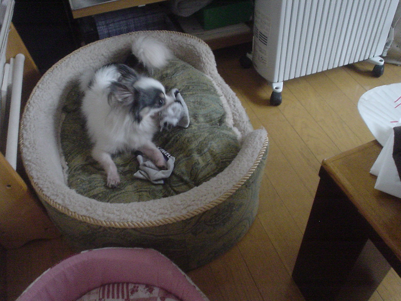 c0150520_062087.jpg
