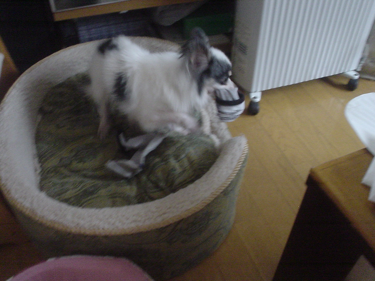 c0150520_063571.jpg