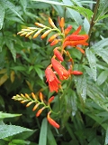 f0139520_21264373.jpg