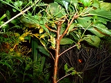 f0200221_22305784.jpg