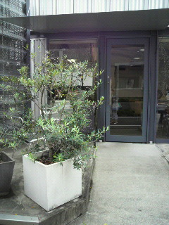 f0106823_1754355.jpg