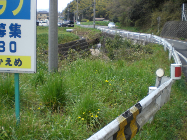 f0111128_0371166.jpg