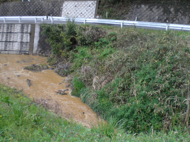 f0111128_037295.jpg