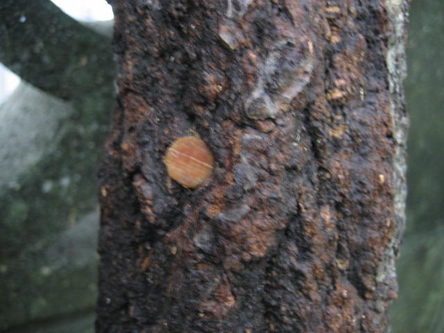 b0166435_17553782.jpg