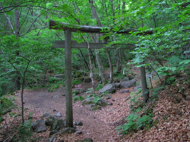 b0097836_15415668.jpg