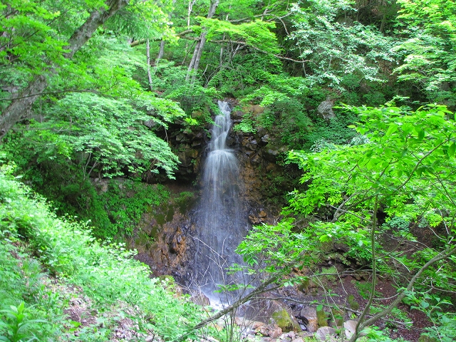 b0097836_15423222.jpg