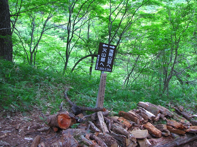 b0097836_1544594.jpg