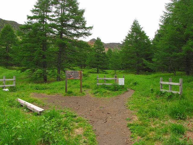 b0097836_16115732.jpg