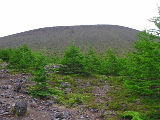 b0097836_16131252.jpg