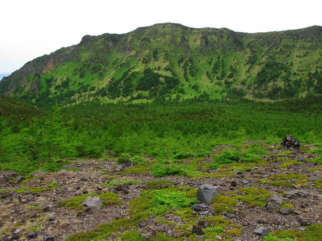 b0097836_16135843.jpg