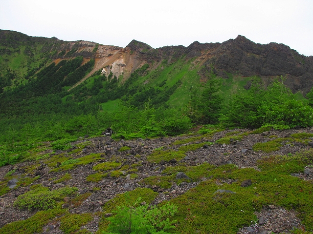 b0097836_16171592.jpg