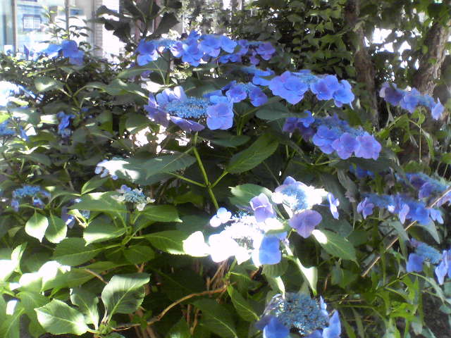 f0237037_510372.jpg