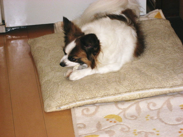 a0149240_8485540.jpg