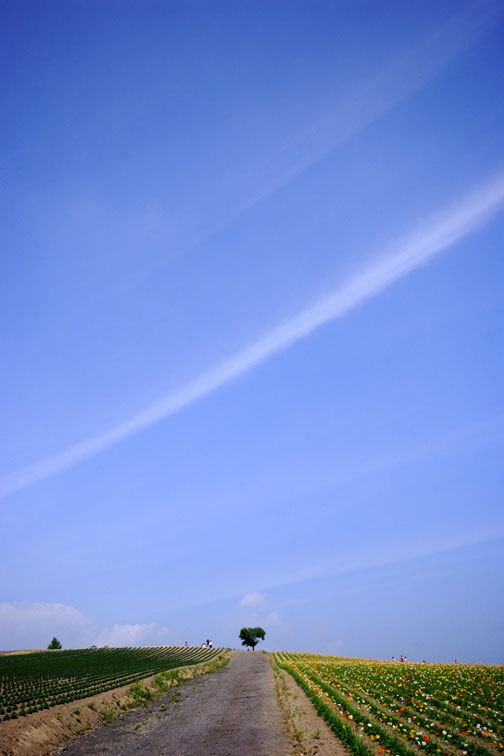 b0075541_626366.jpg
