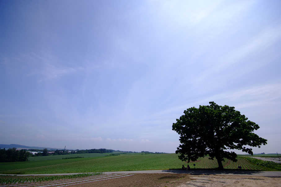 b0075541_6364261.jpg