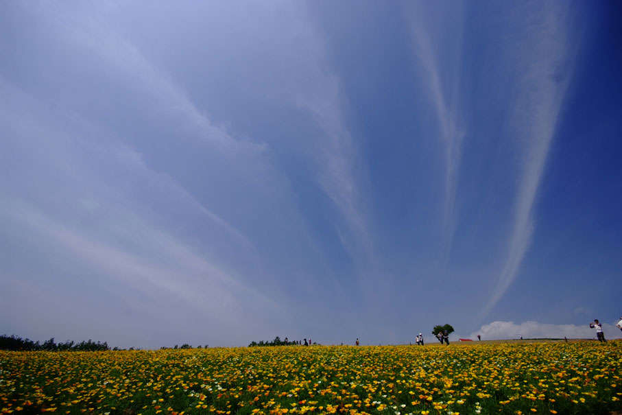 b0075541_69214.jpg