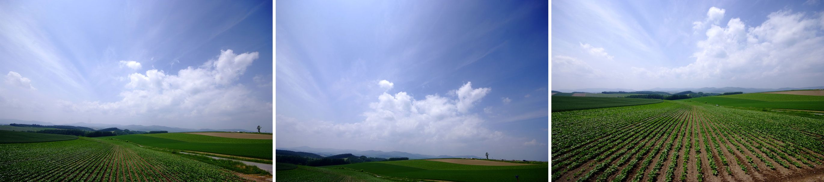 b0075541_7212256.jpg