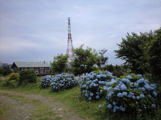 f0065341_0274670.jpg