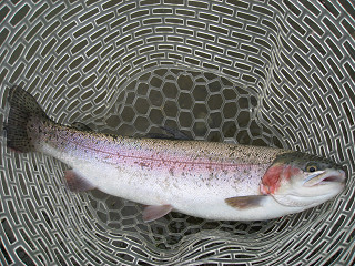 f0065341_0435899.jpg