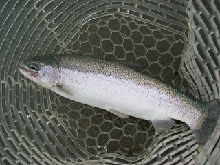 f0065341_0461264.jpg