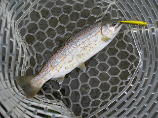 f0065341_048987.jpg