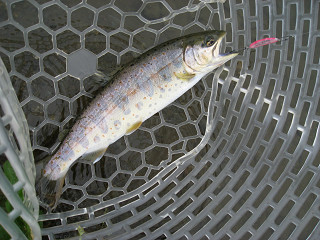 f0065341_0502857.jpg