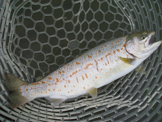 f0065341_0513757.jpg