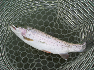 f0065341_051891.jpg