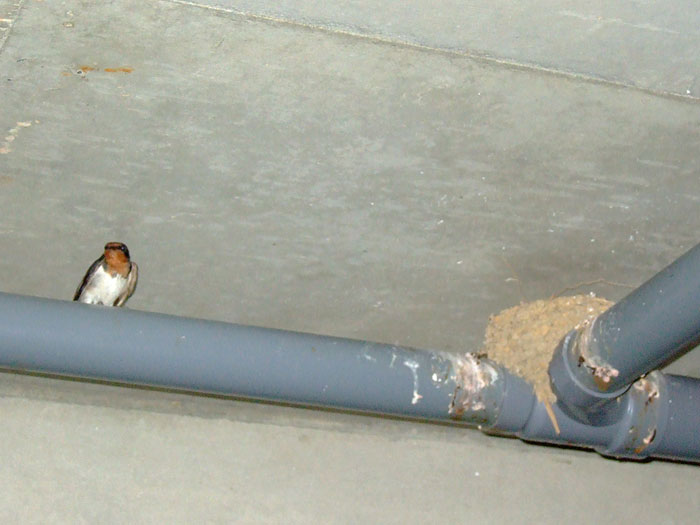 e0006242_10411148.jpg
