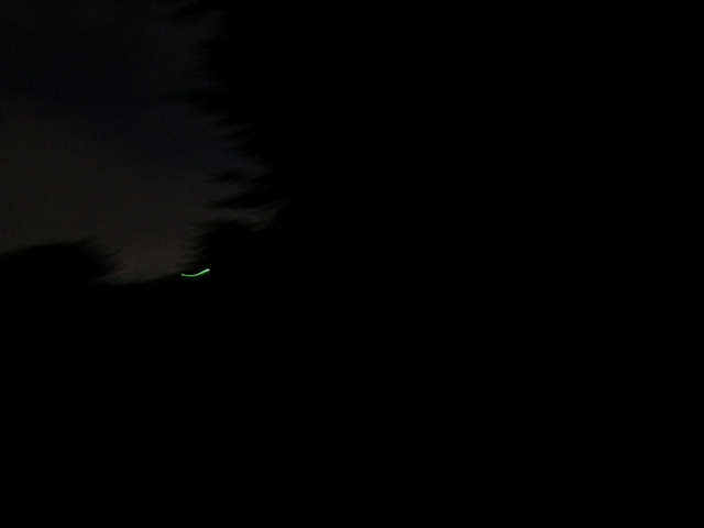e0150843_1853555.jpg