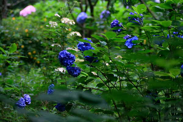 c0228945_23372239.jpg