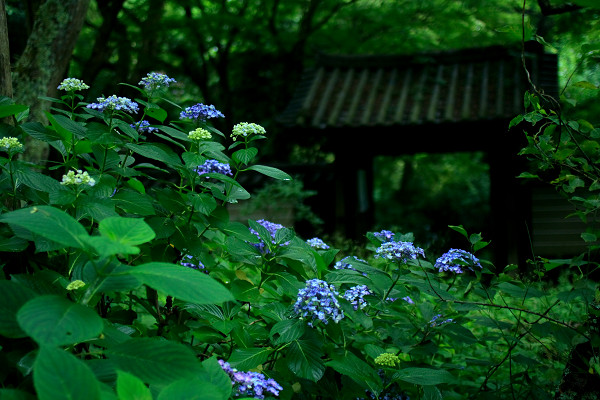 c0228945_23513034.jpg