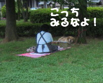 e0121548_22563785.jpg