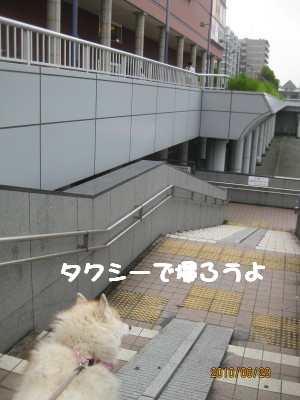 e0121548_23494342.jpg