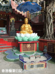 f0190653_932555.jpg