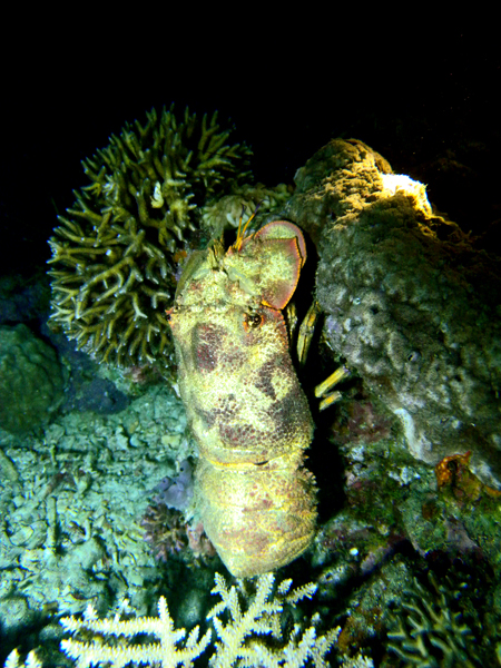 b0062363_0321153.jpg