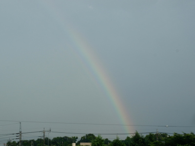 b0180764_014951.jpg