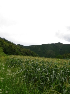 f0055264_2348238.jpg