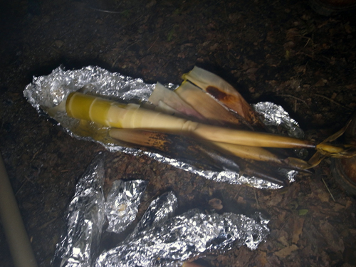 c0048265_18201924.jpg
