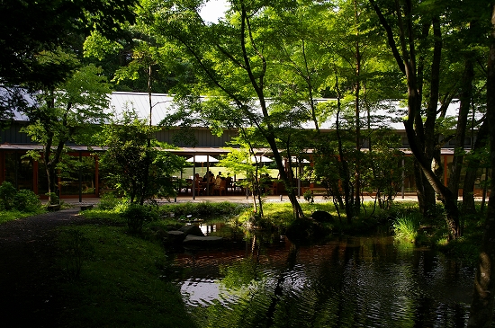 a0135366_002777.jpg