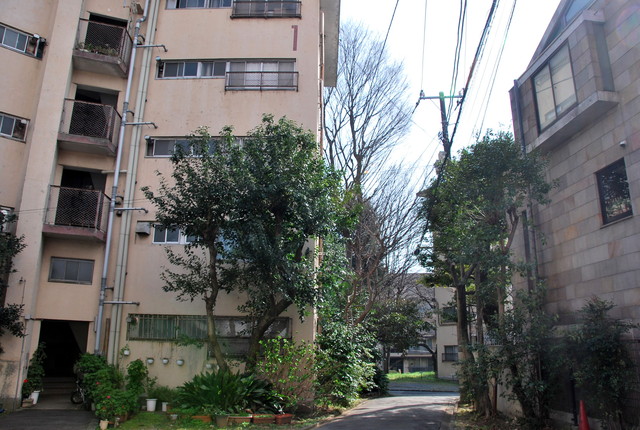 b0174068_0312437.jpg
