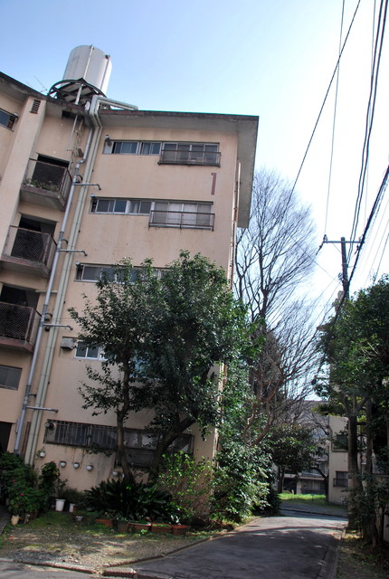 b0174068_0323776.jpg